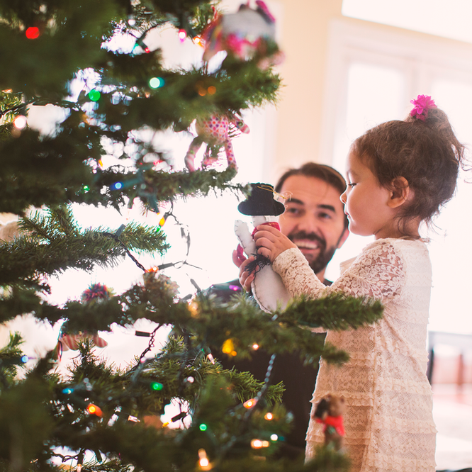 Keep Your Cat Safe This Christmas. Oxford Cat Clinic, Botley & Marston.