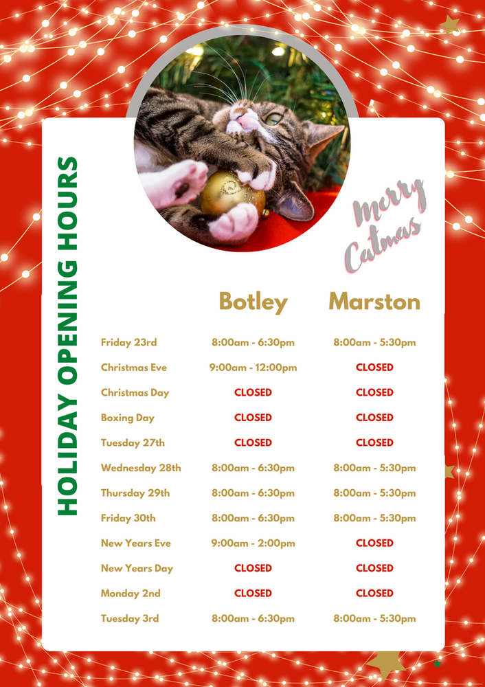 fileKeep Your Cat Safe This Christmas. Keep Your Cat Safe This Christmas. Oxford Cat Clinic, Botley & Marston.