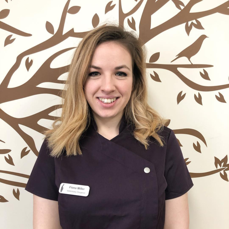 Pet Travel After Brexit - Oxford Cat Clinic