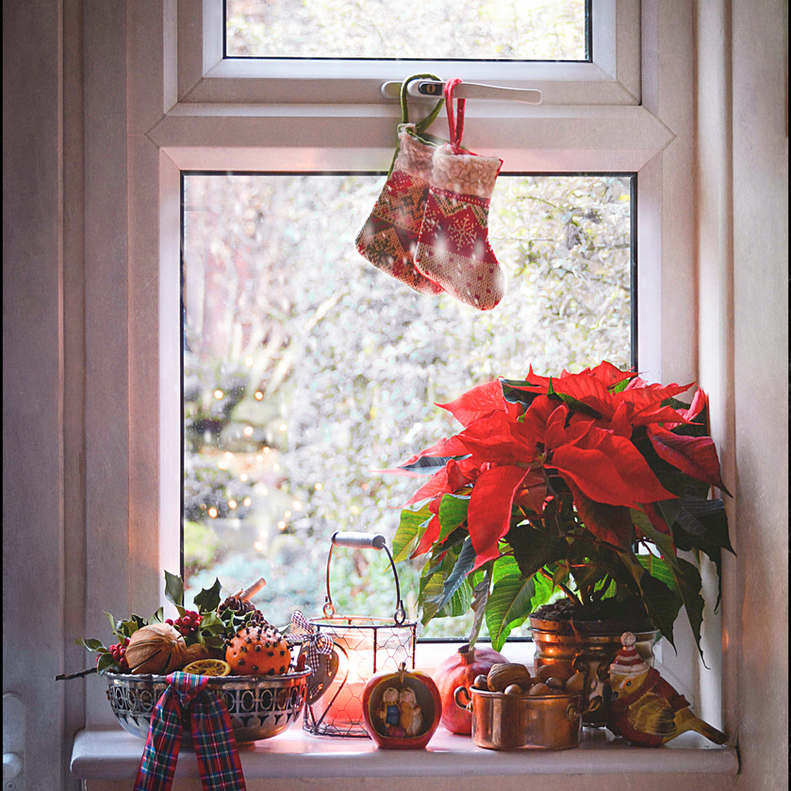 Keep Your Cat Safe This Christmas. Oxford Cat Clinic, Botley & Marston.