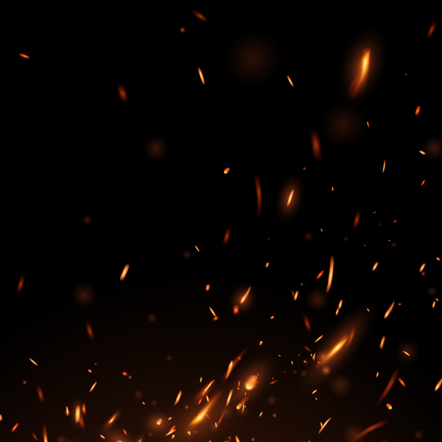 Cats and Fireworks at Oxford Cat Clinic, Botley & Marston.