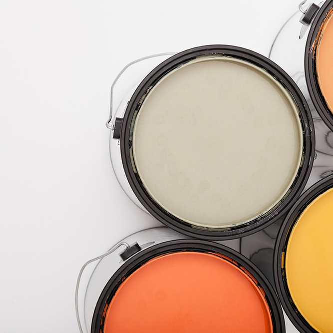 Common Poisonings in Cats. Oxford Cat Clinic, Botley & Marston.