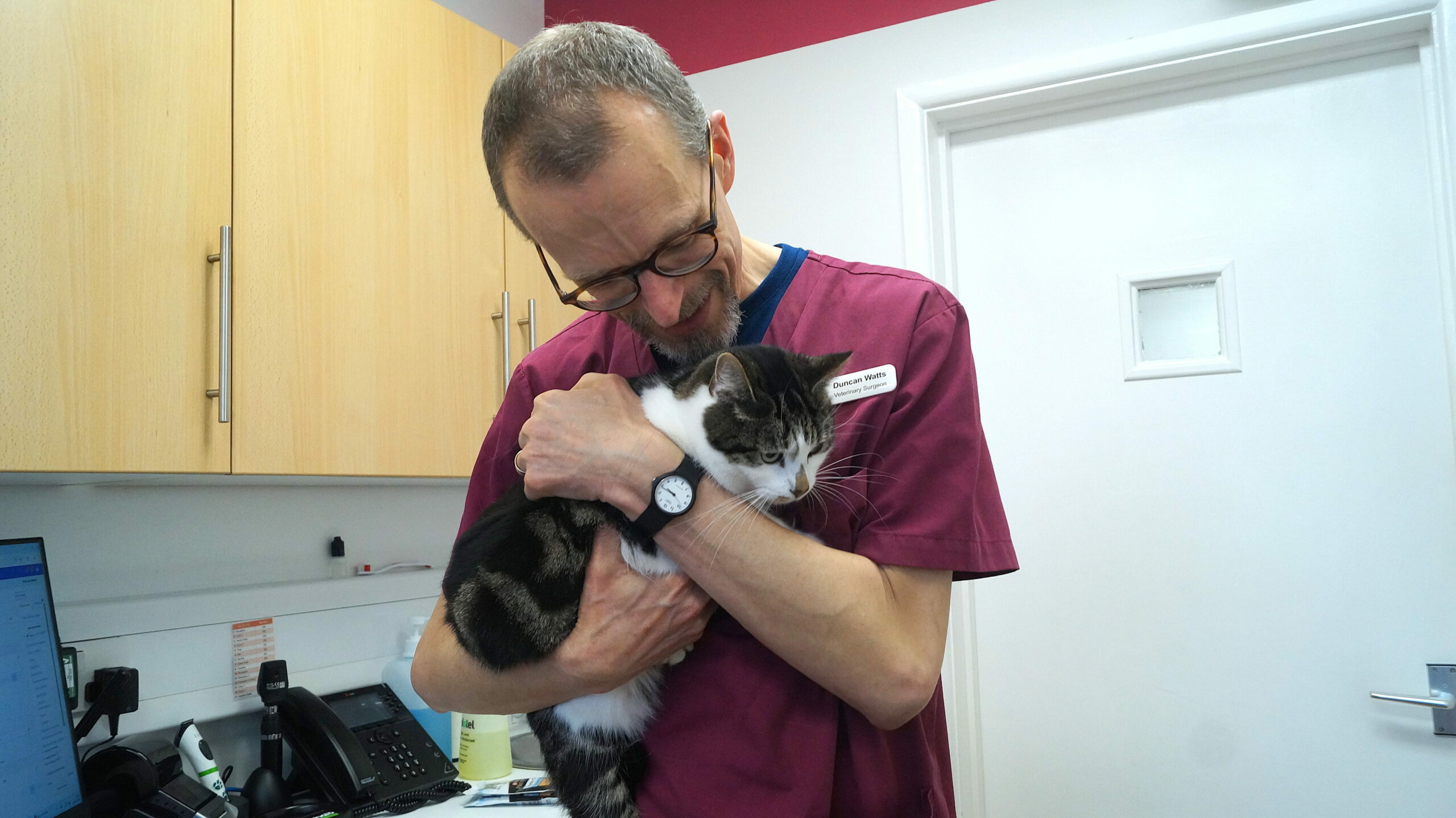 Oxford Cat Clinic - six month cat health check
