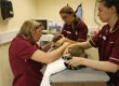 Ultrasound. Oxford Cat Clinic. Cat-only Vets in Oxford - Botley & Marston Clinics