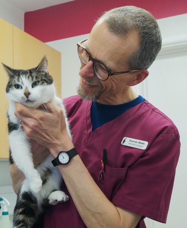 Six month health check. Oxford Cat Clinic, Botley & Marston.