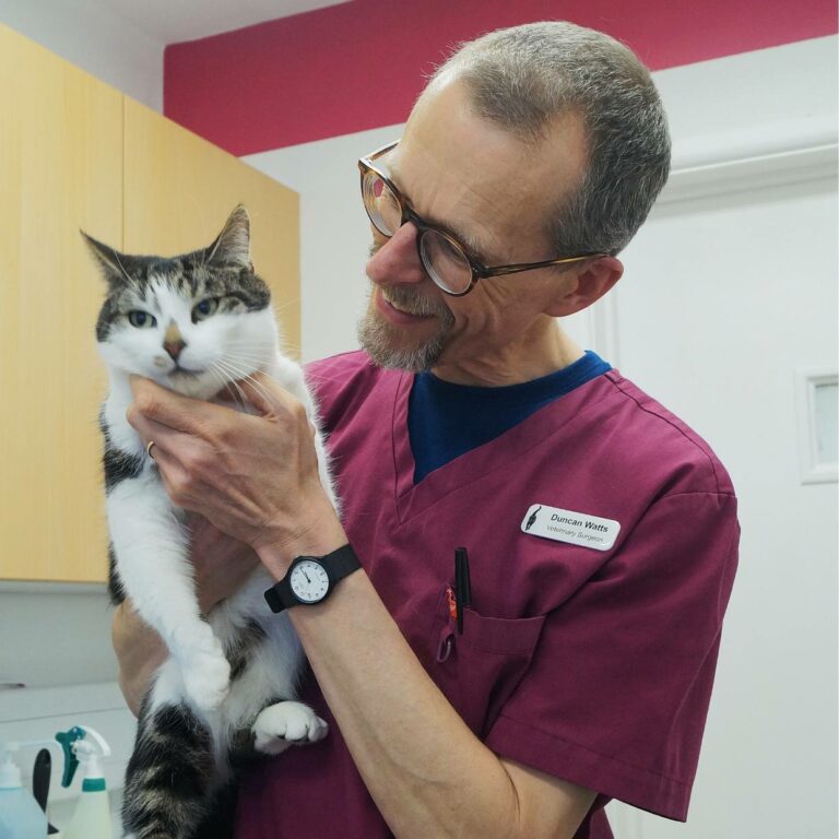 Six month health check. Oxford Cat Clinic, Botley & Marston.