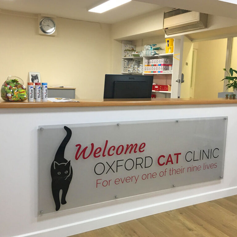 Reception About Us. Our Vision. Oxford Cat Clinic.