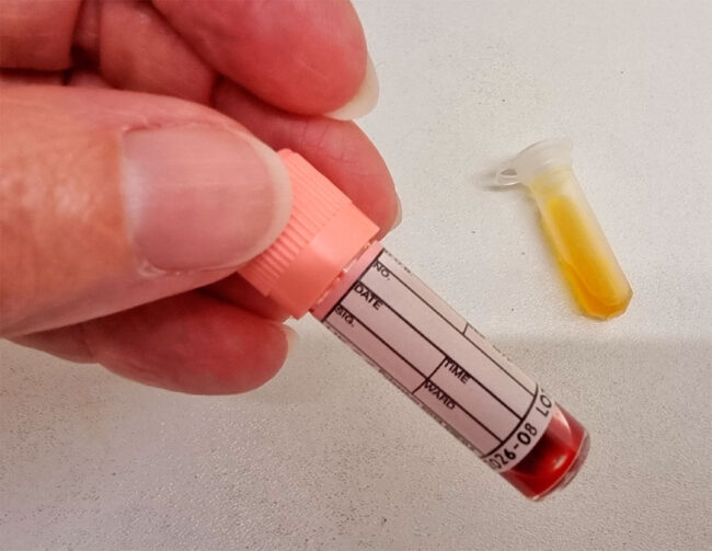 In House Lab. Facilities at Oxford Cat Clinic