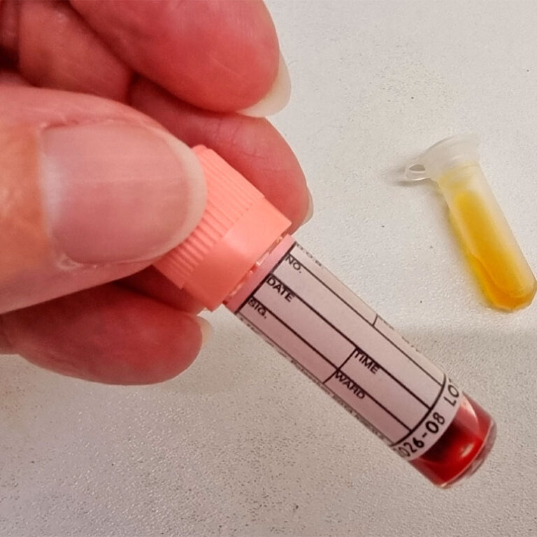 In House Lab. Facilities at Oxford Cat Clinic