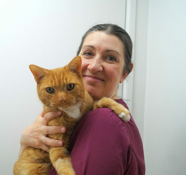 Oxford Cat Clinic. - cat health check by a nurse