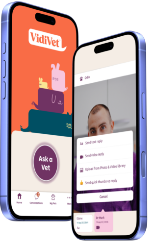 VidiVet app phone promo (1)