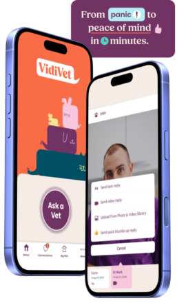 vidivet_-_duel_screen_app_promo (2)
